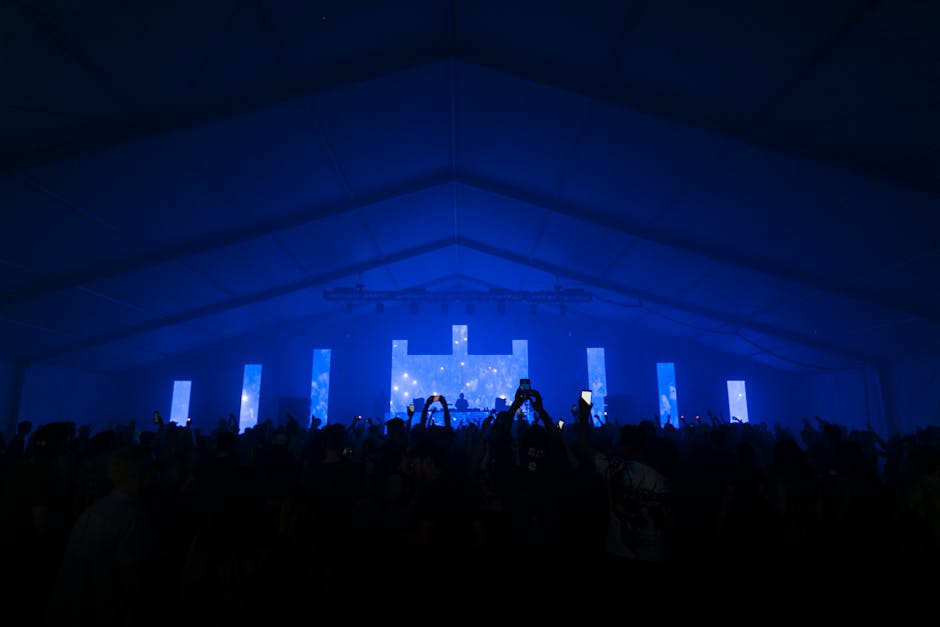 Energetic crowd at a nighttime concert with blue lights and silhouette performers on stage